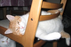 KAIYUNAPP-《Valorant新纪录破发，年轻战队逆袭成焦点》，valorant新英雄介绍