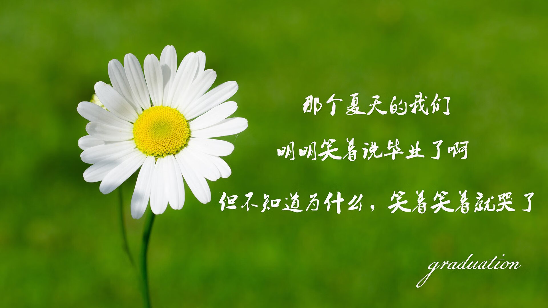 _猛龙队实力逐步显现,迎来关键胜利_,猛龙队员